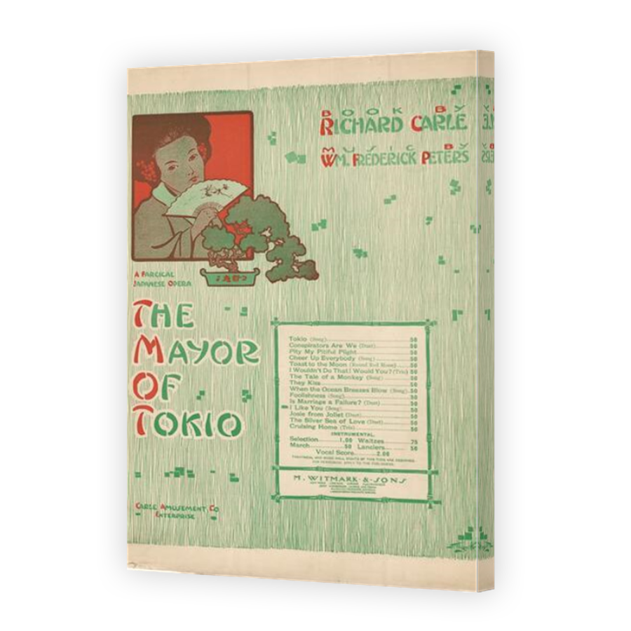 Thumbnail for Canvas - Mirror Image Canvas Wrap