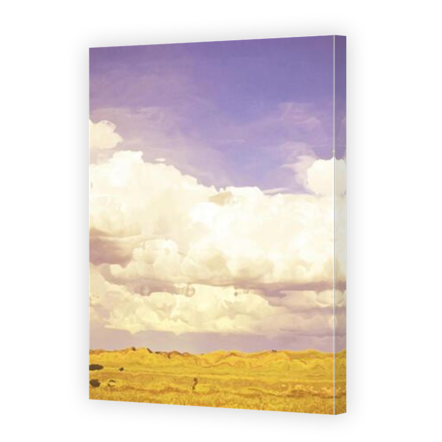 Thumbnail for Canvas - Mirror Image Canvas Wrap