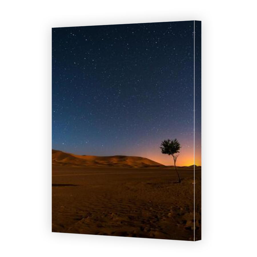 Thumbnail for Canvas - Mirror Image Canvas Wrap
