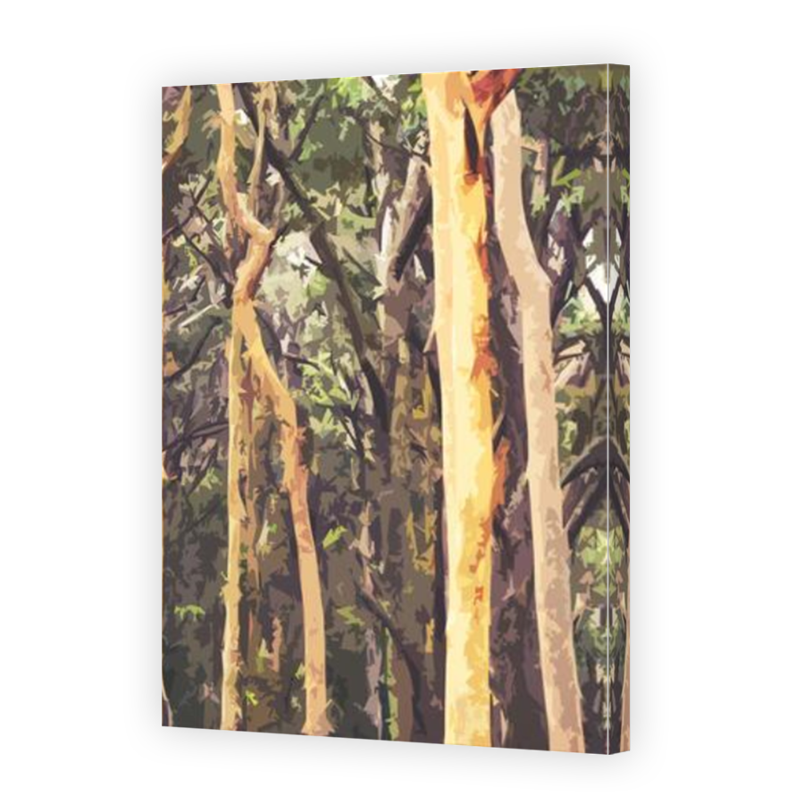 Thumbnail for Canvas - Mirror Image Canvas Wrap