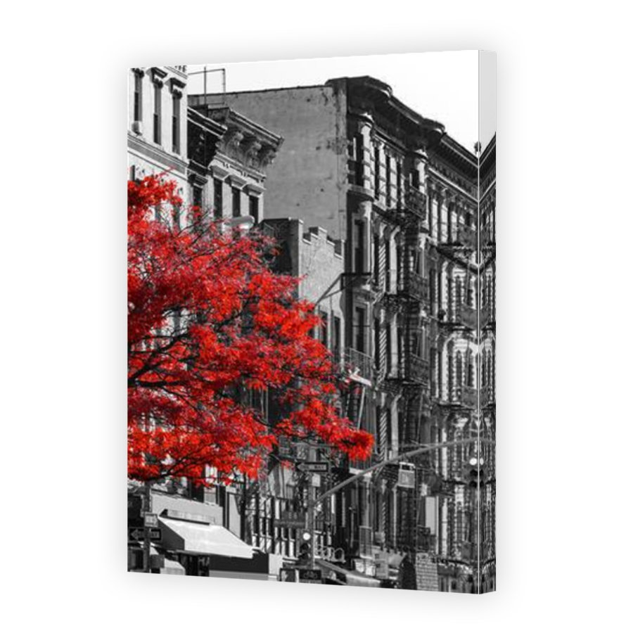 Thumbnail for Canvas - Mirror Image Canvas Wrap