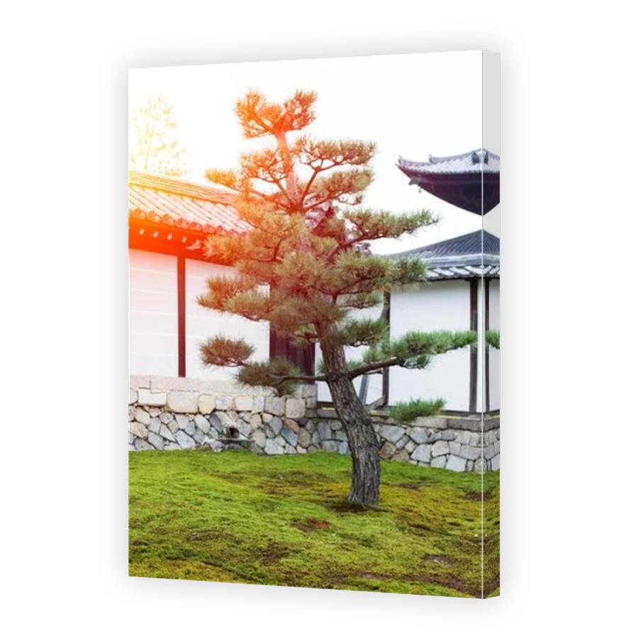 Thumbnail for Canvas - Mirror Image Canvas Wrap