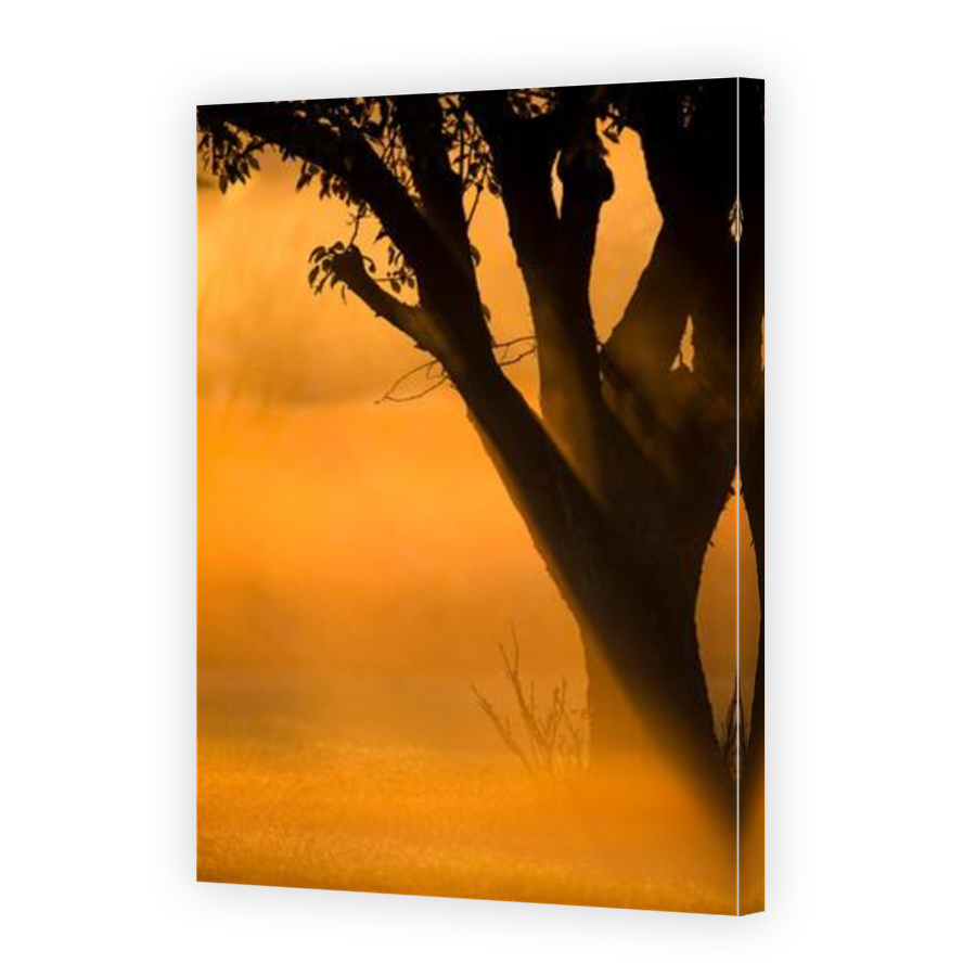 Thumbnail for Canvas - Mirror Image Canvas Wrap