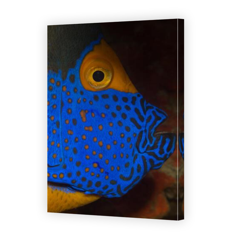 Thumbnail for Canvas - Mirror Image Canvas Wrap