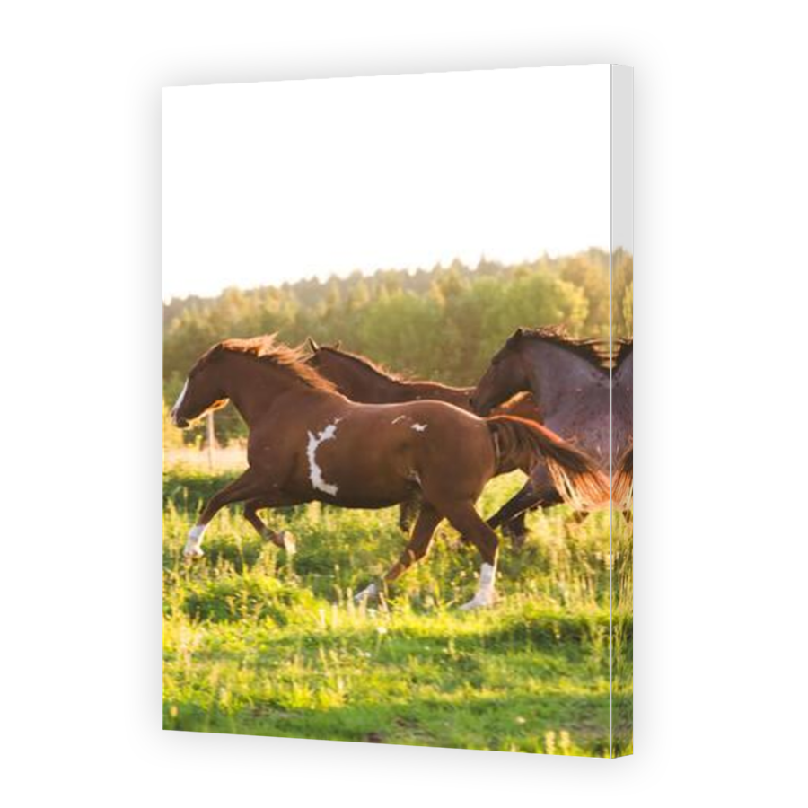 Thumbnail for Canvas - Mirror Image Canvas Wrap