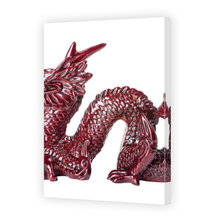 Thumbnail for Canvas - Mirror Image Canvas Wrap