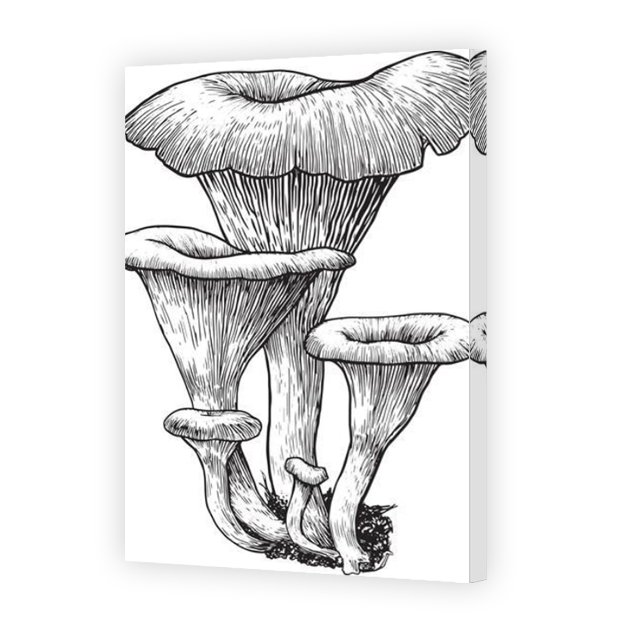 Thumbnail for Canvas - Mirror Image Canvas Wrap