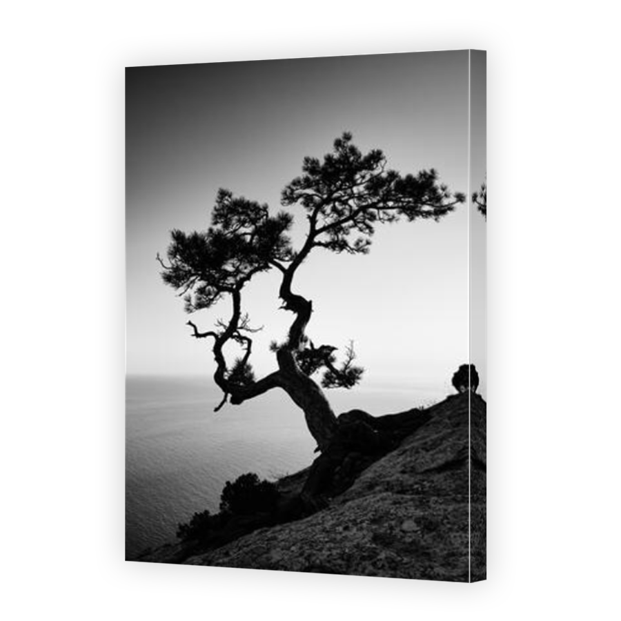 Thumbnail for Canvas - Mirror Image Canvas Wrap