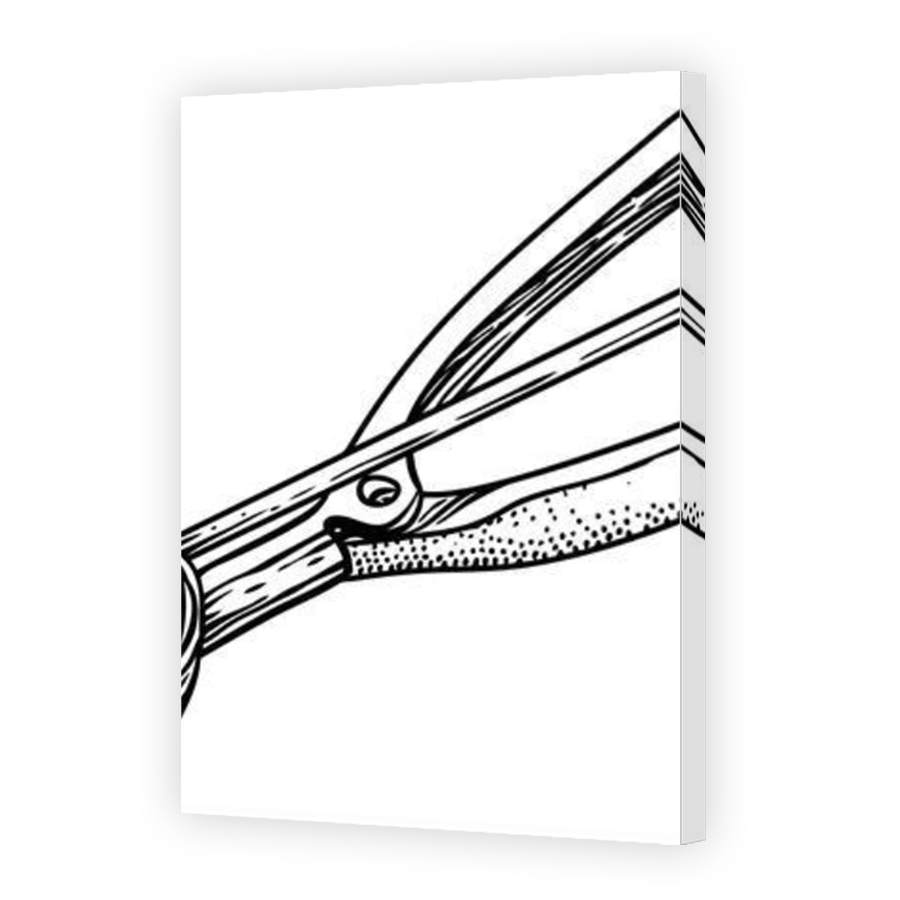 Thumbnail for Canvas - Mirror Image Canvas Wrap