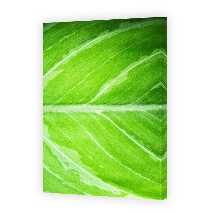 Thumbnail for Canvas - Mirror Image Canvas Wrap
