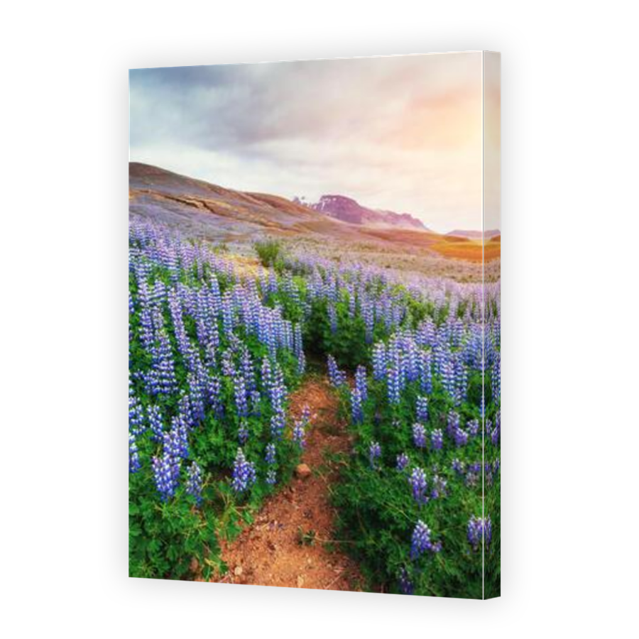 Thumbnail for Canvas - Mirror Image Canvas Wrap