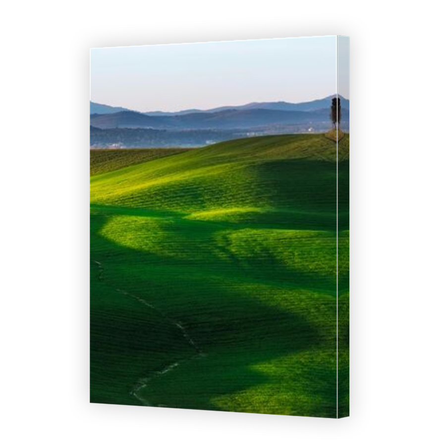 Thumbnail for Canvas - Mirror Image Canvas Wrap