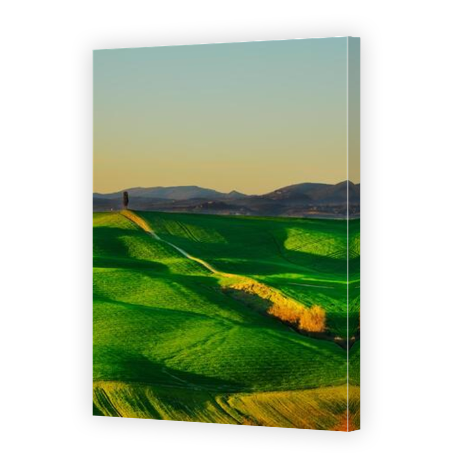 Thumbnail for Canvas - Mirror Image Canvas Wrap