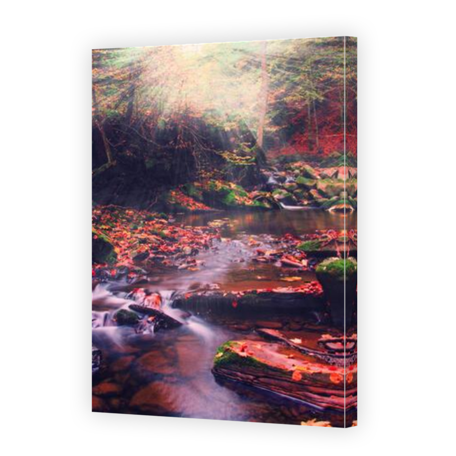 Thumbnail for Canvas - Mirror Image Canvas Wrap