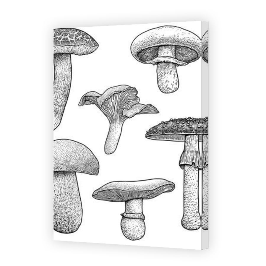Thumbnail for Canvas - Mirror Image Canvas Wrap