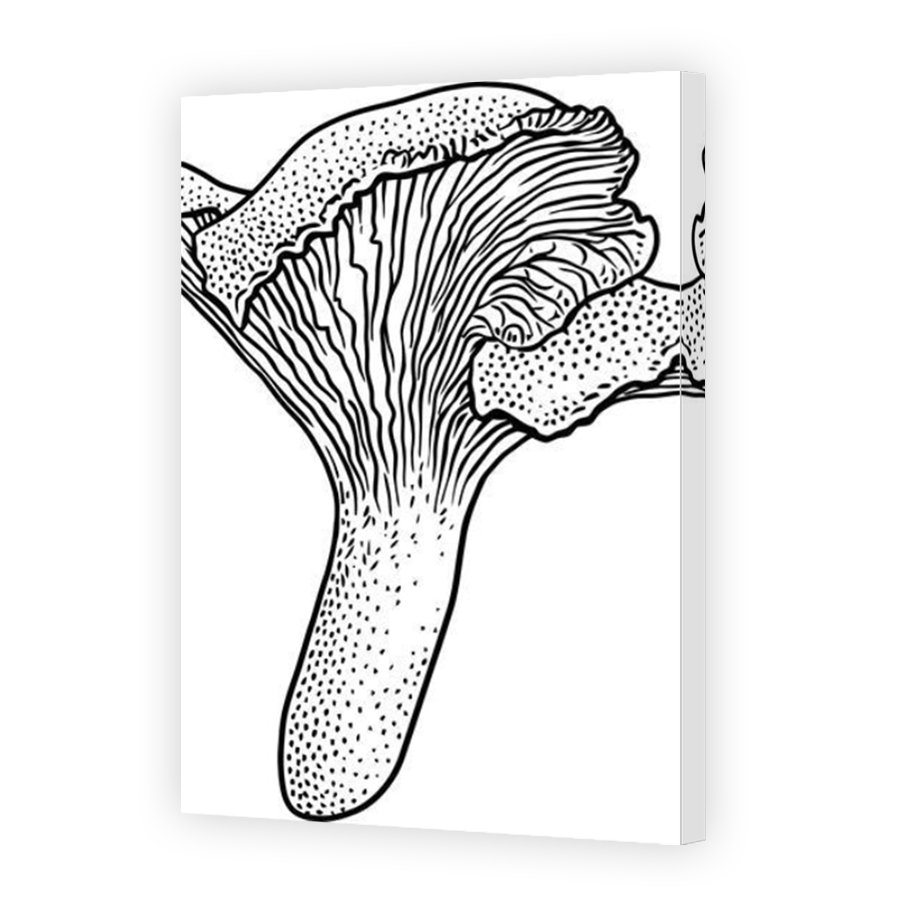 Thumbnail for Canvas - Mirror Image Canvas Wrap