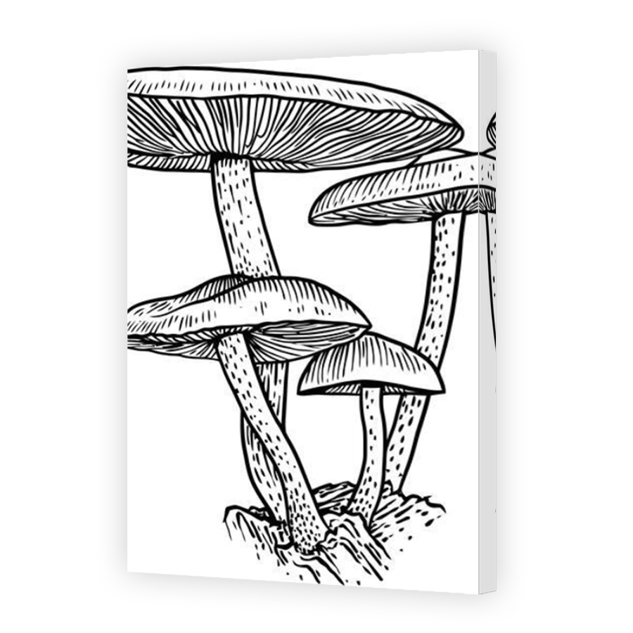 Thumbnail for Canvas - Mirror Image Canvas Wrap