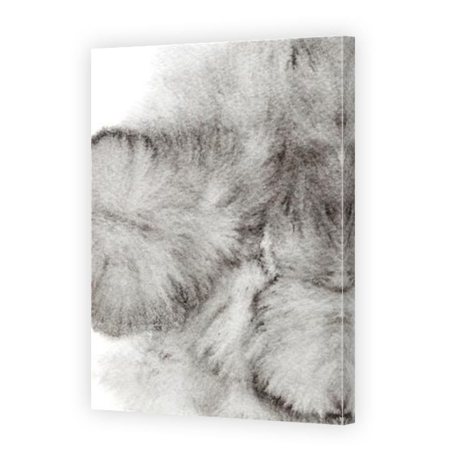 Thumbnail for Canvas - Mirror Image Canvas Wrap