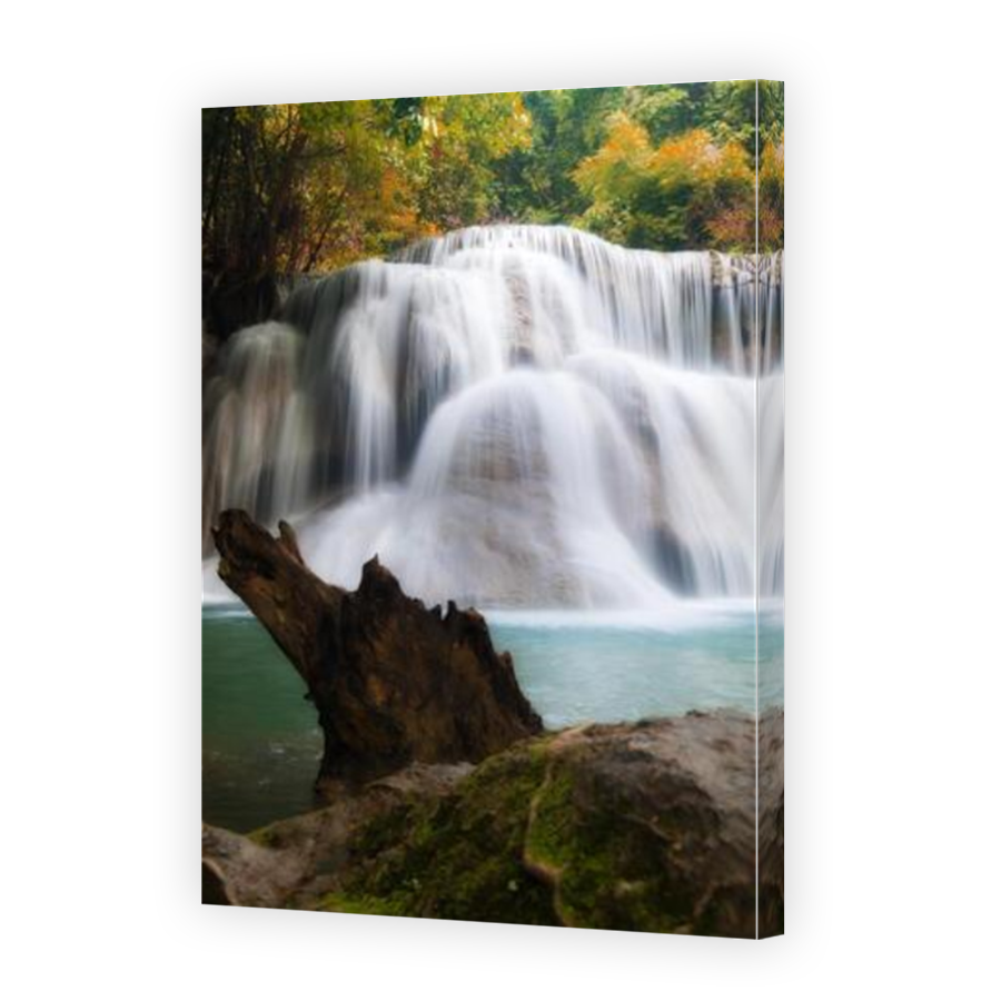 Thumbnail for Canvas - Mirror Image Canvas Wrap