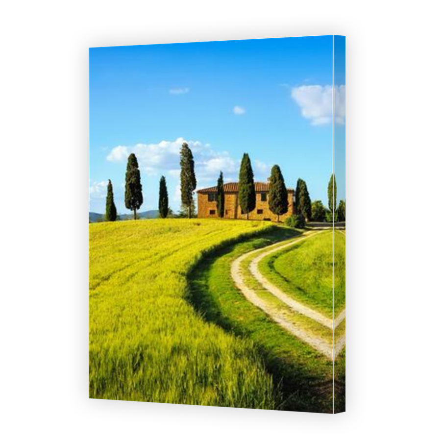 Thumbnail for Canvas - Mirror Image Canvas Wrap