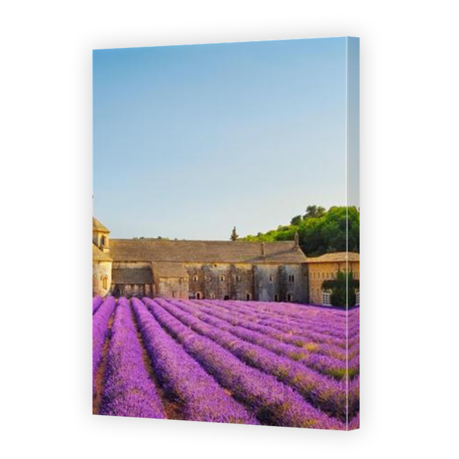 Thumbnail for Canvas - Mirror Image Canvas Wrap