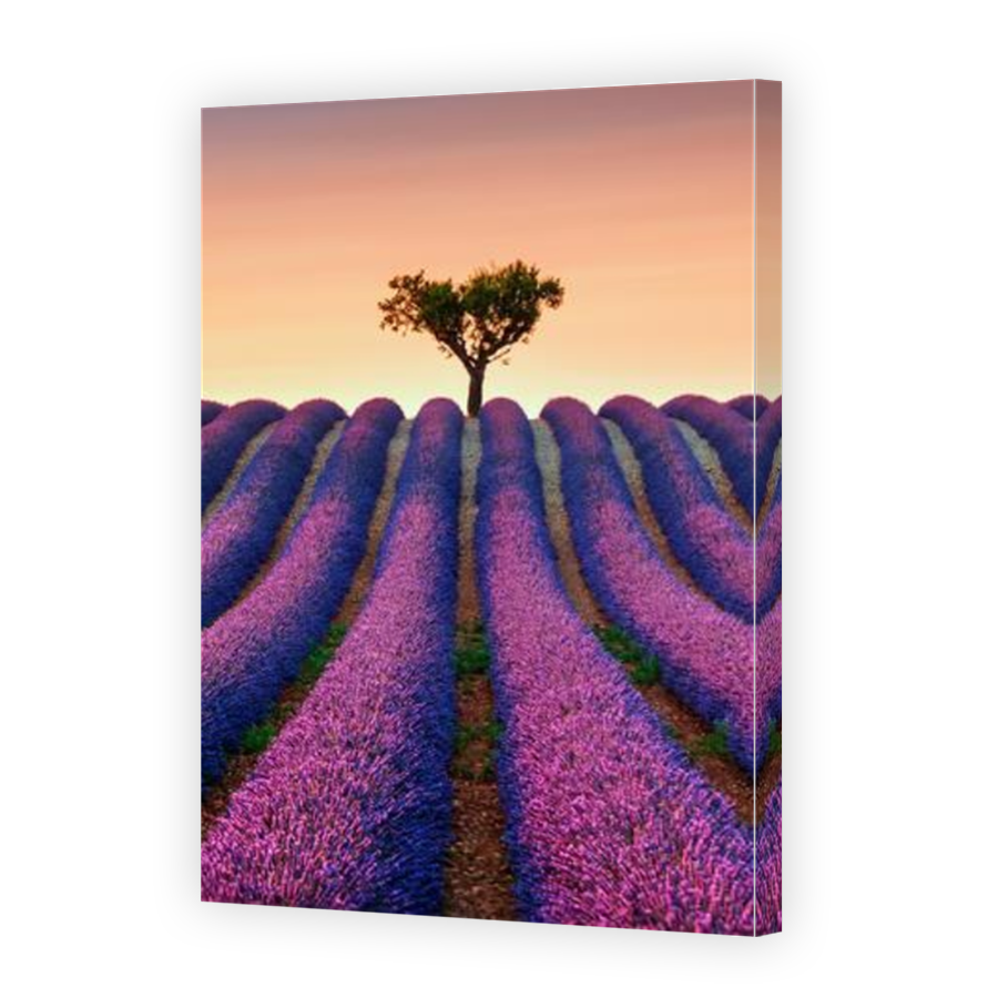 Thumbnail for Canvas - Mirror Image Canvas Wrap