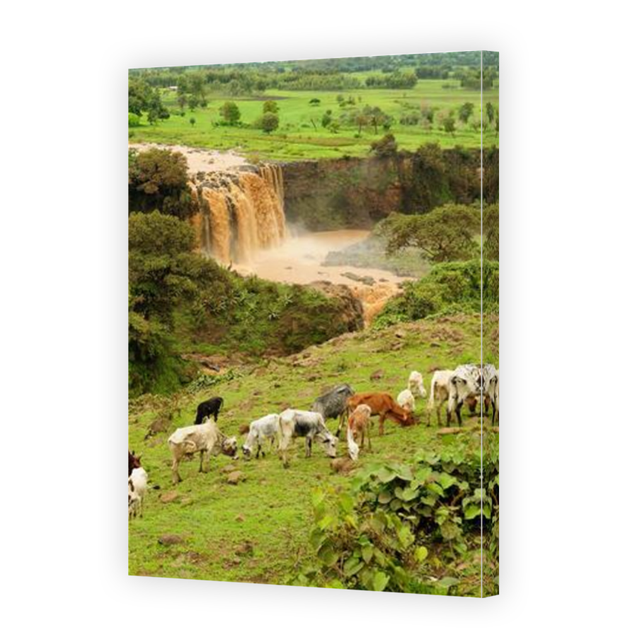 Thumbnail for Canvas - Mirror Image Canvas Wrap