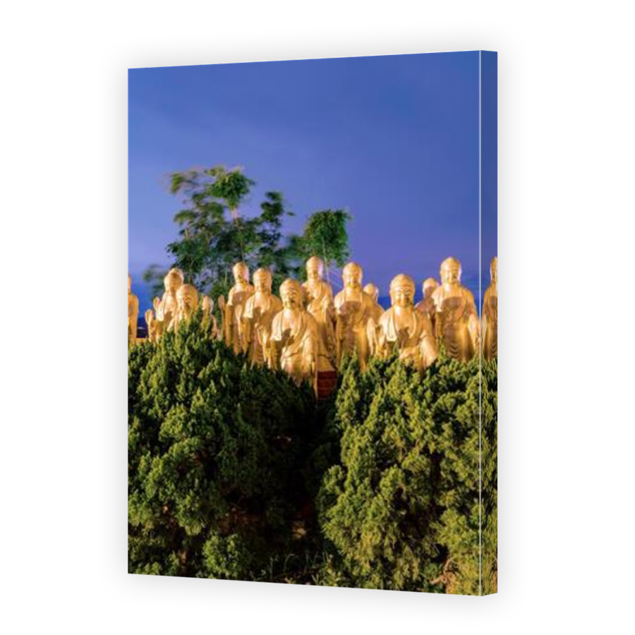 Thumbnail for Canvas - Mirror Image Canvas Wrap