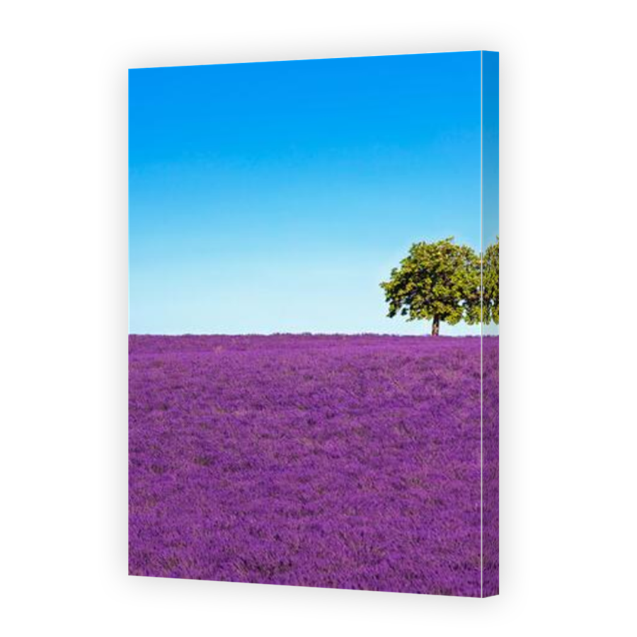 Thumbnail for Canvas - Mirror Image Canvas Wrap