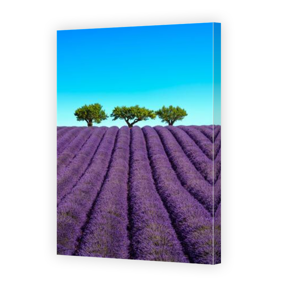 Thumbnail for Canvas - Mirror Image Canvas Wrap