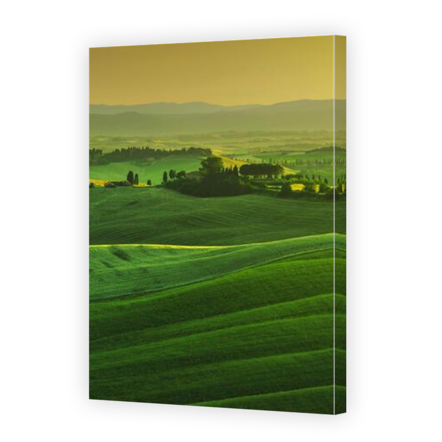 Thumbnail for Canvas - Mirror Image Canvas Wrap