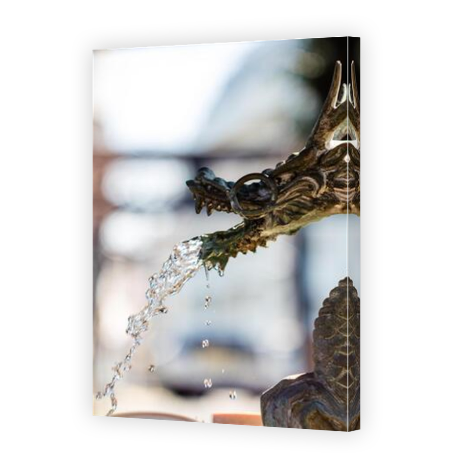 Thumbnail for Canvas - Mirror Image Canvas Wrap