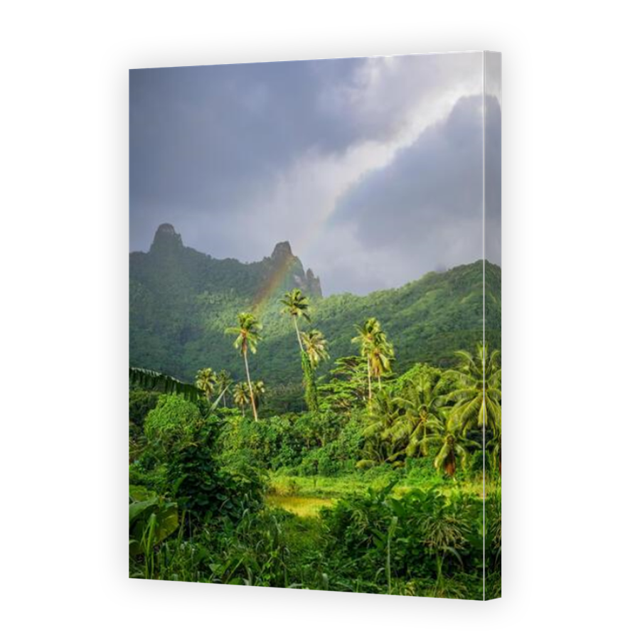 Thumbnail for Canvas - Mirror Image Canvas Wrap