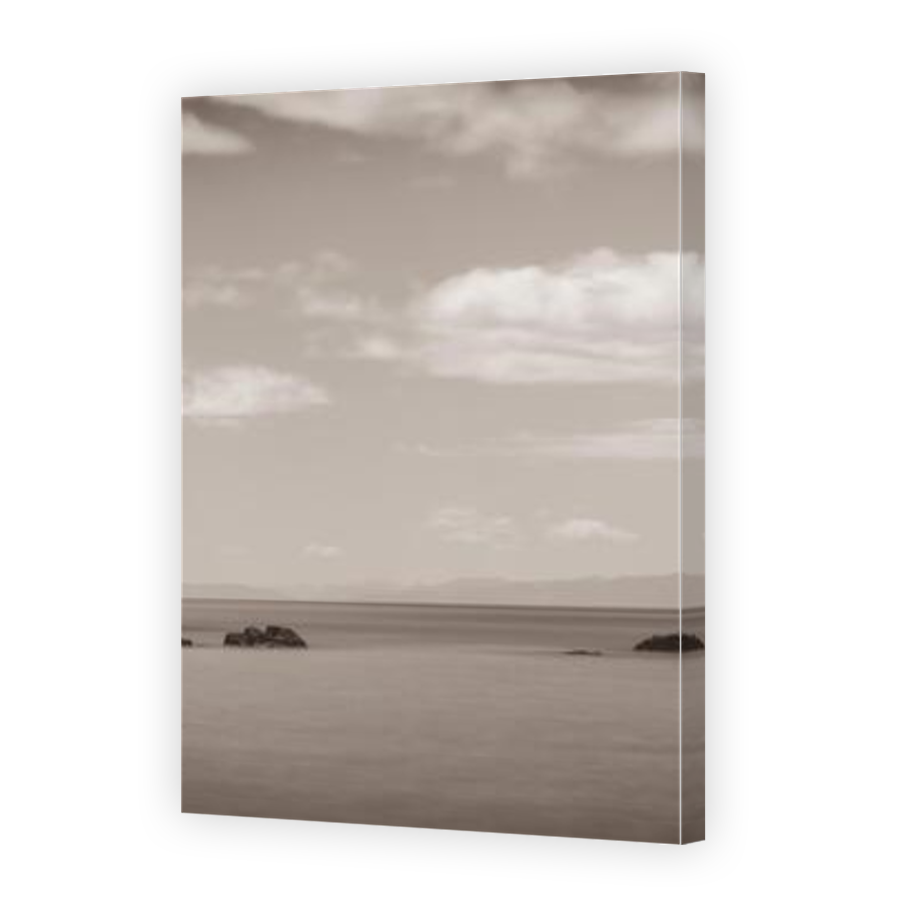 Thumbnail for Canvas - Mirror Image Canvas Wrap