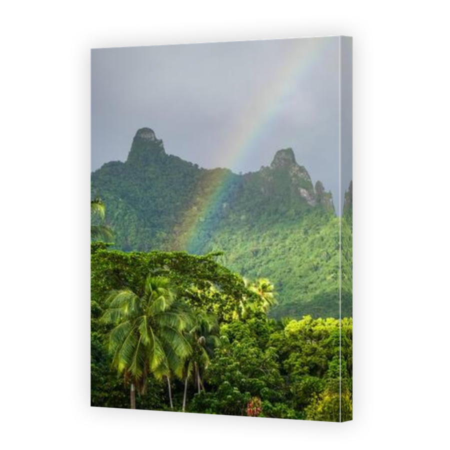 Thumbnail for Canvas - Mirror Image Canvas Wrap