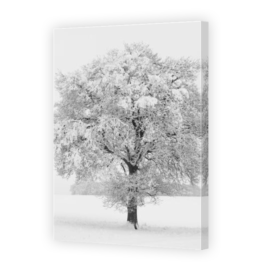 Thumbnail for Canvas - Mirror Image Canvas Wrap