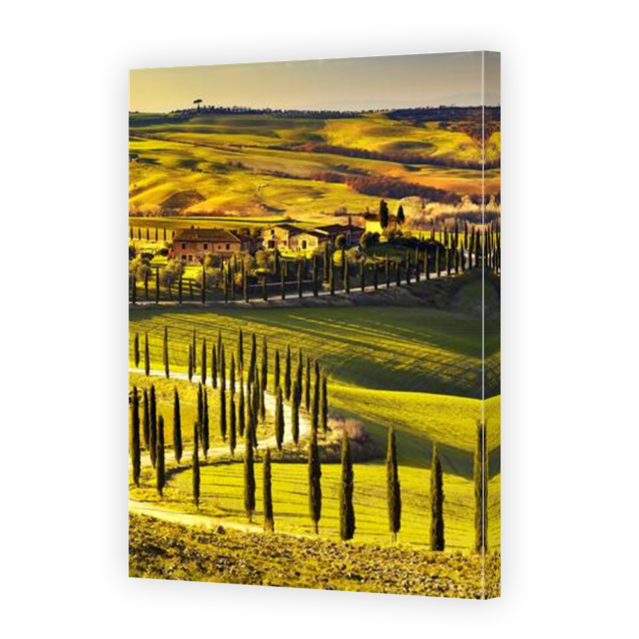 Thumbnail for Canvas - Mirror Image Canvas Wrap