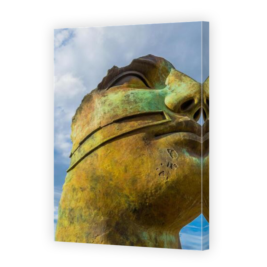 Thumbnail for Canvas - Mirror Image Canvas Wrap