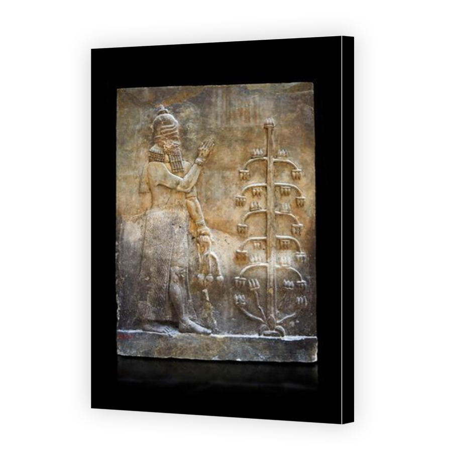 Thumbnail for Canvas - Mirror Image Canvas Wrap