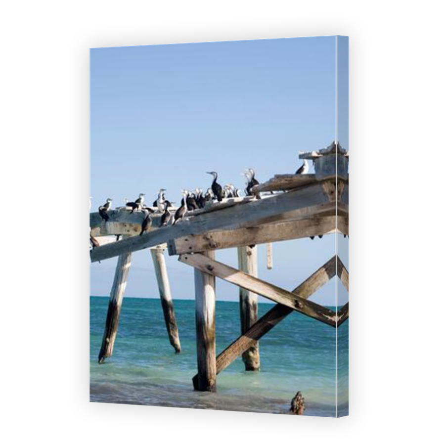Thumbnail for Canvas - Mirror Image Canvas Wrap