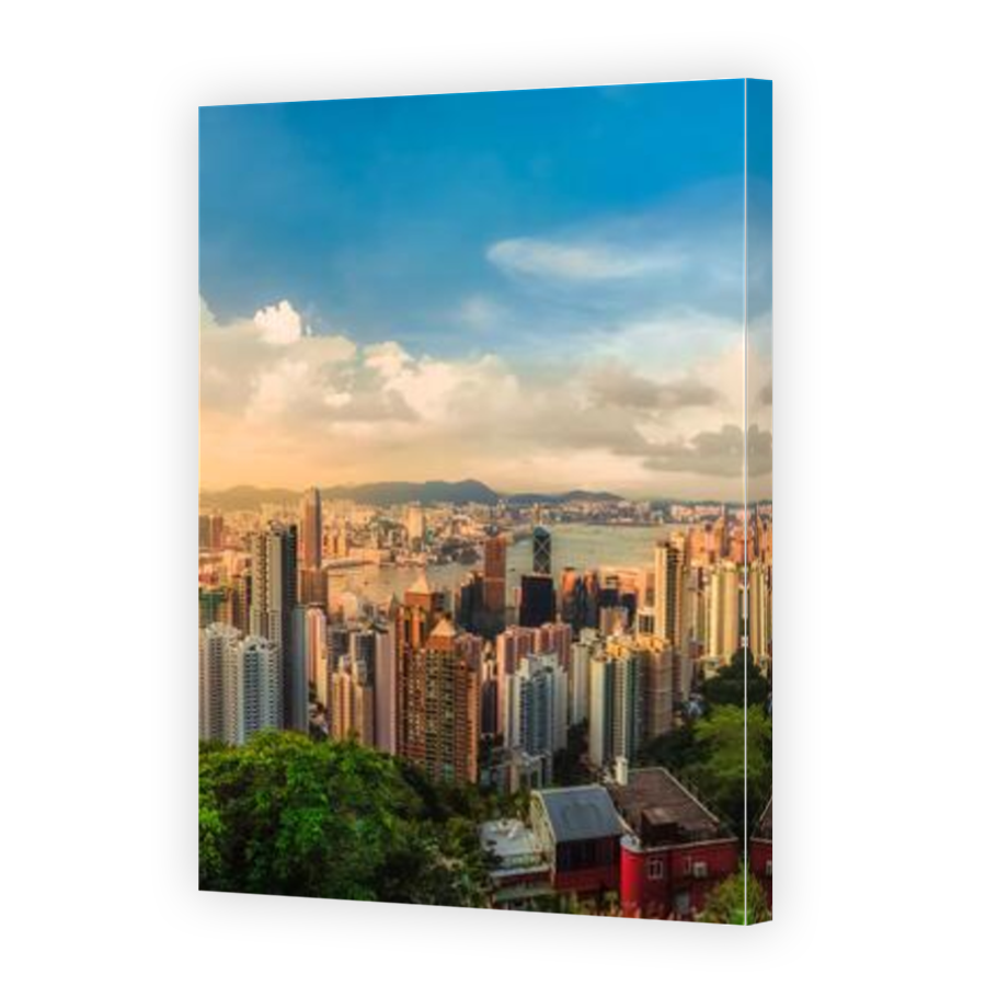Thumbnail for Canvas - Mirror Image Canvas Wrap