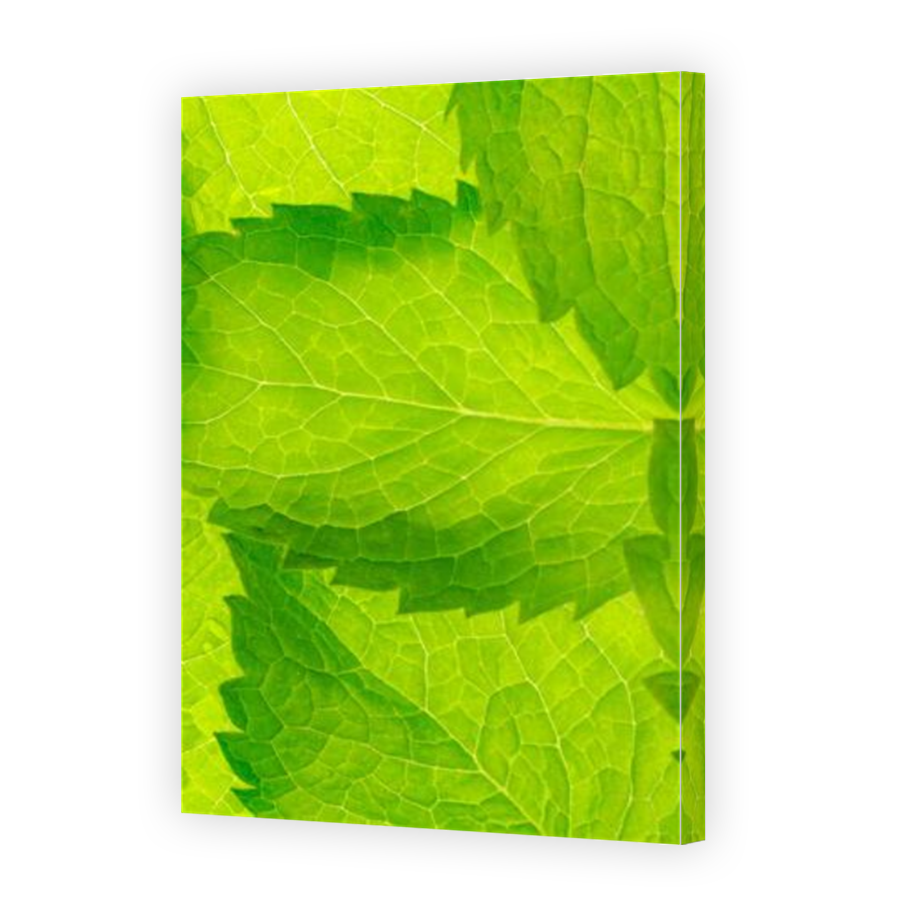 Thumbnail for Canvas - Mirror Image Canvas Wrap