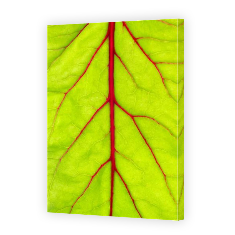Thumbnail for Canvas - Mirror Image Canvas Wrap