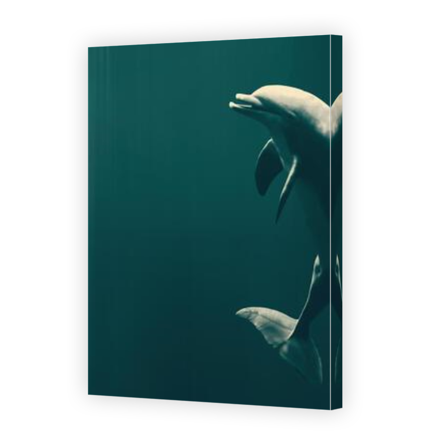 Thumbnail for Canvas - Mirror Image Canvas Wrap