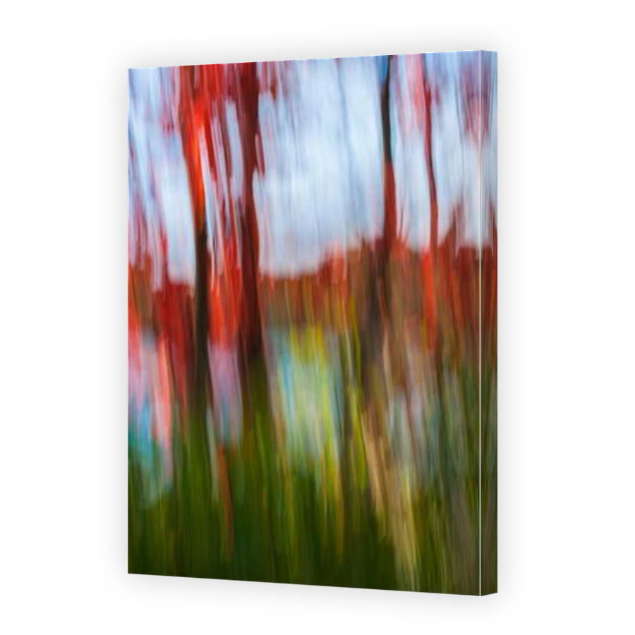 Thumbnail for Canvas - Mirror Image Canvas Wrap