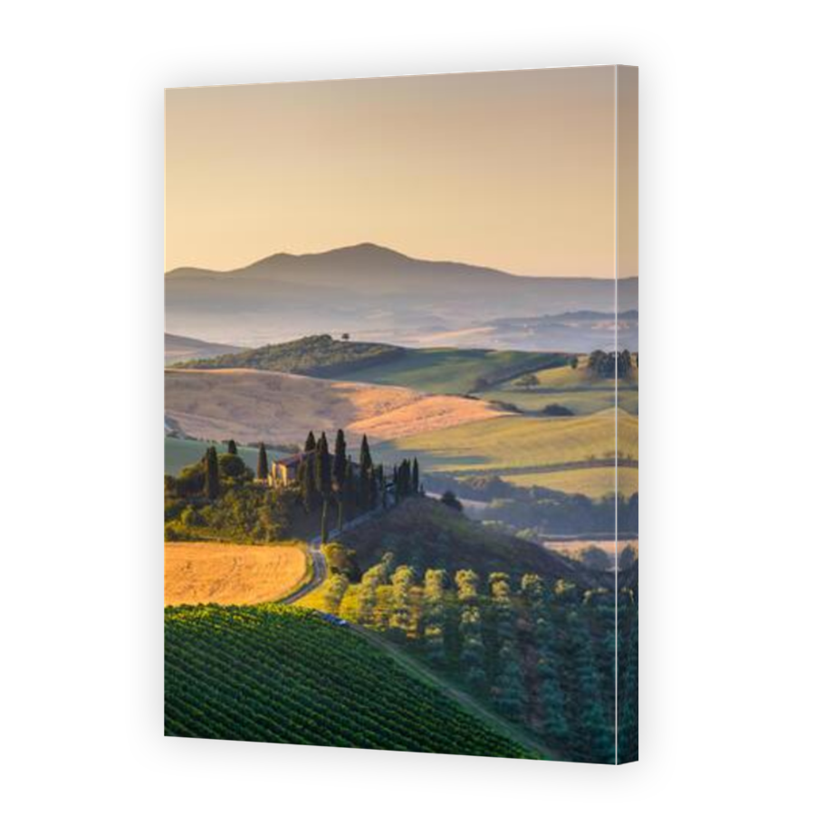 Thumbnail for Canvas - Mirror Image Canvas Wrap