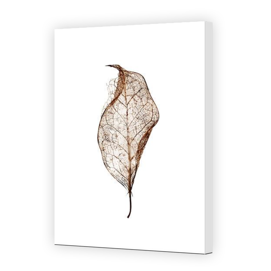 Thumbnail for Canvas - Mirror Image Canvas Wrap