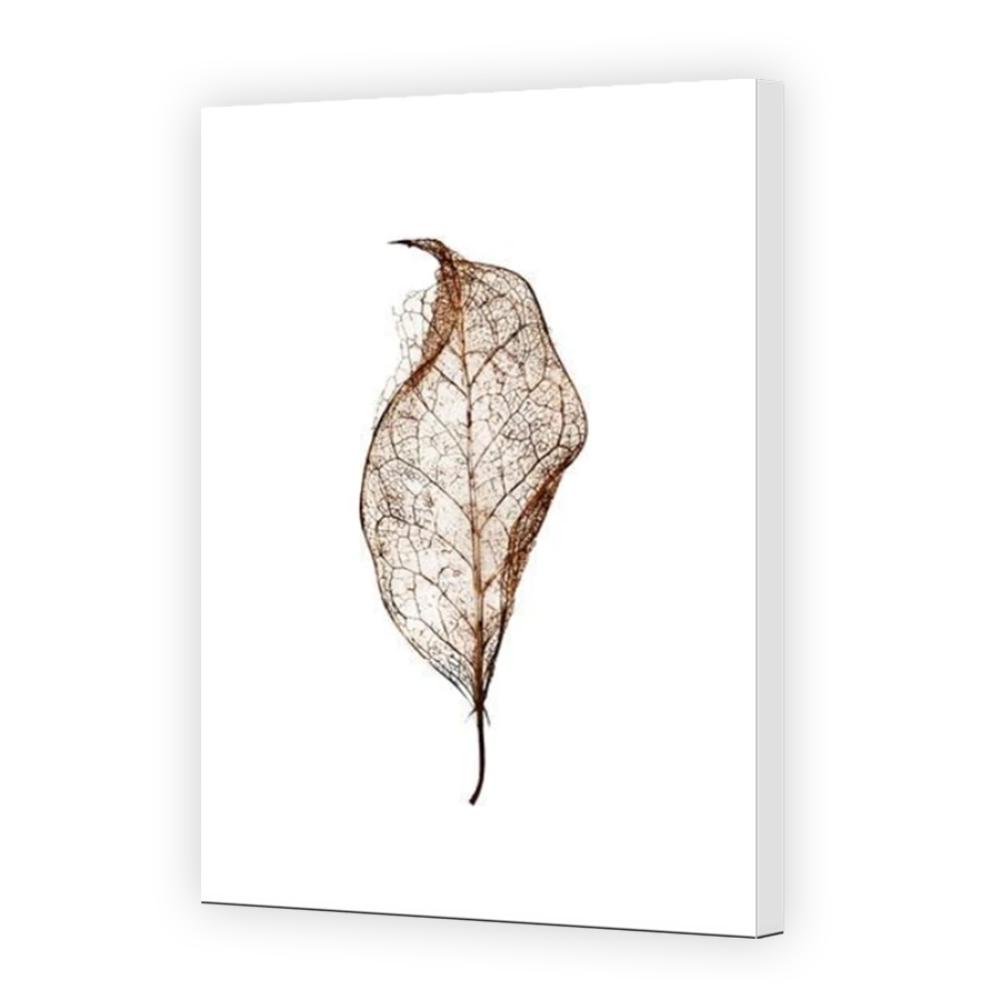 Thumbnail for Canvas - Mirror Image Canvas Wrap