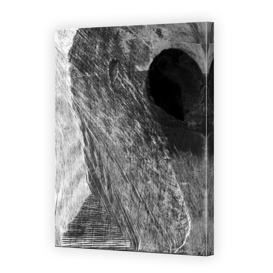 Thumbnail for Canvas - Mirror Image Canvas Wrap