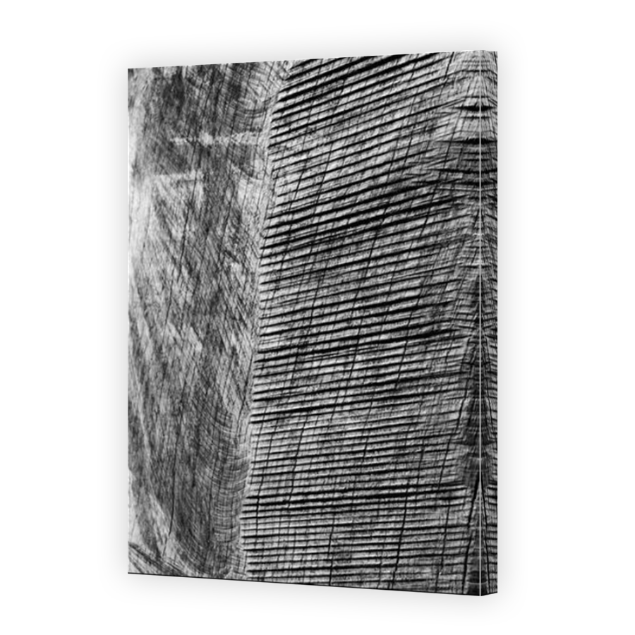Thumbnail for Canvas - Mirror Image Canvas Wrap